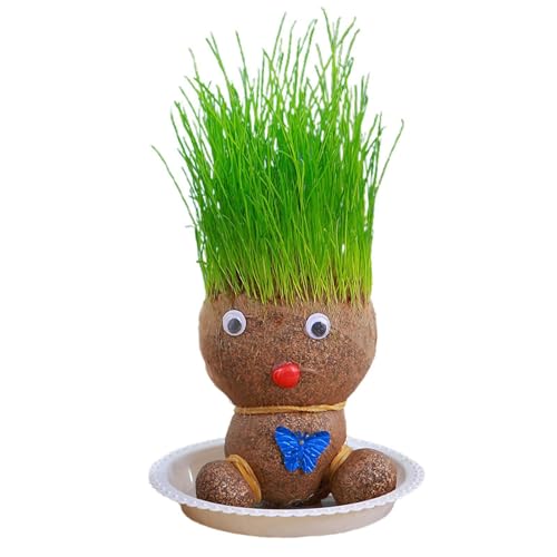 Shannan Graskopf Puppe Kleine Topfpflanze, Desktop Grünpflanzen Mini Bonsai Töpfe,Desktop-Grünpflanzen Im Topf Für Kinder Mit Tablett, Graskopf Puppe Kleine Topfpflanze, Desktop Ornamente Dekoration von Shannan