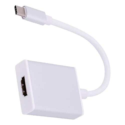 Shanrya Typ C zu HD Multimedia Interface Adapter, Typ C zu HD Adapter 10GBit Beidseitig für Office Eingesetzt (Silber) von Shanrya