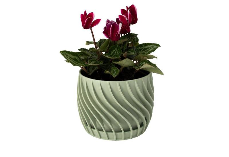 Shapes - Decorations Blumentopf The Plant Pot - Blumentopf mit integriertem Unterteller, 100% 3D-Druck (Einzelmodell, 1 x Blumentopf mit integriertem Untersetzer), Spiraloptik von Shapes - Decorations