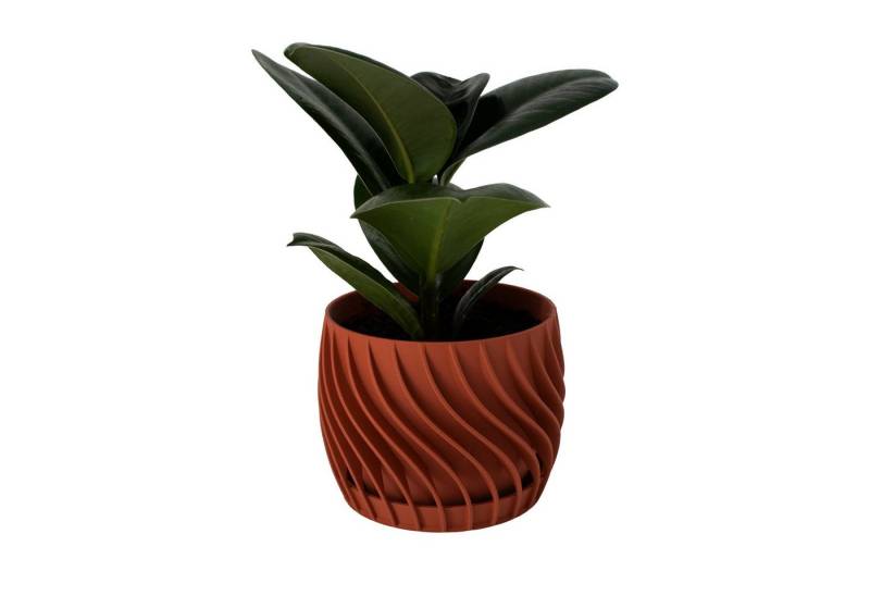 Shapes - Decorations Blumentopf The Plant Pot - Blumentopf mit integriertem Unterteller, 100% 3D-Druck (Einzelmodell, 1 x Blumentopf mit integriertem Untersetzer), Spiraloptik von Shapes - Decorations