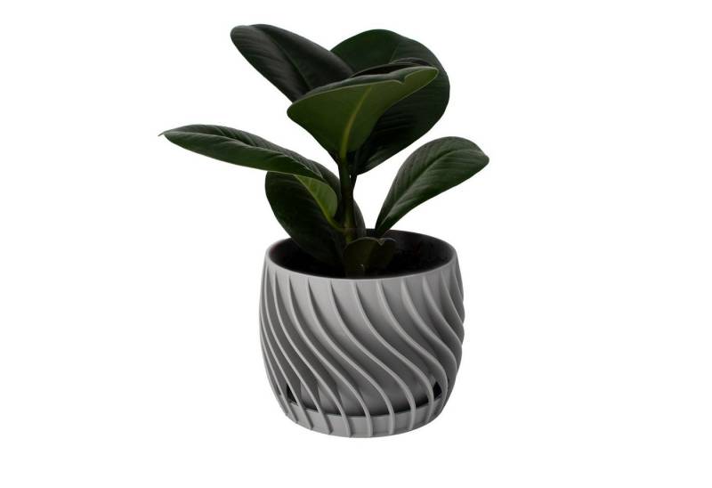 Shapes - Decorations Blumentopf The Plant Pot - Blumentopf mit integriertem Unterteller, 100% 3D-Druck (Einzelmodell, 1 x Blumentopf mit integriertem Untersetzer), Spiraloptik von Shapes - Decorations