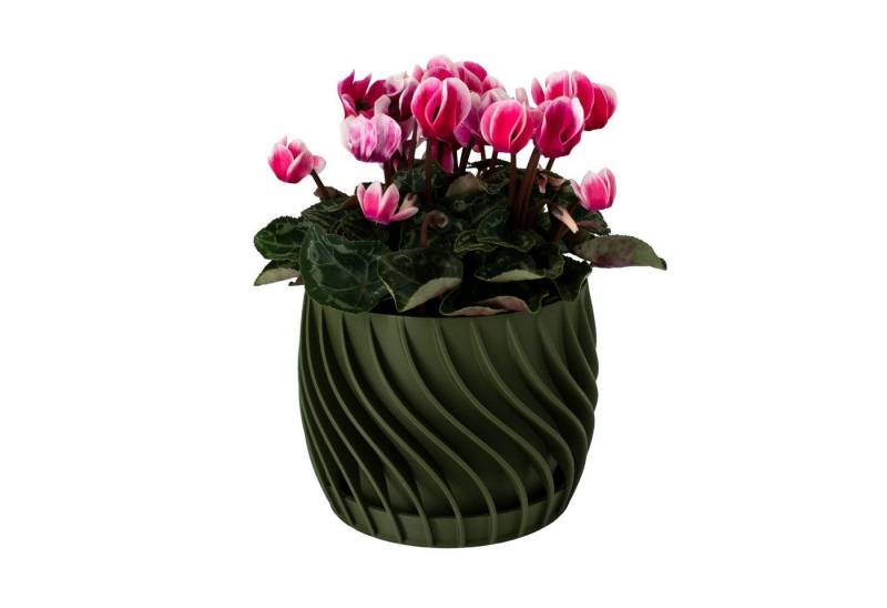 Shapes - Decorations Blumentopf The Plant Pot - Blumentopf mit integriertem Unterteller, 100% 3D-Druck (Einzelmodell, 1 x Blumentopf mit integriertem Untersetzer), Spiraloptik von Shapes - Decorations