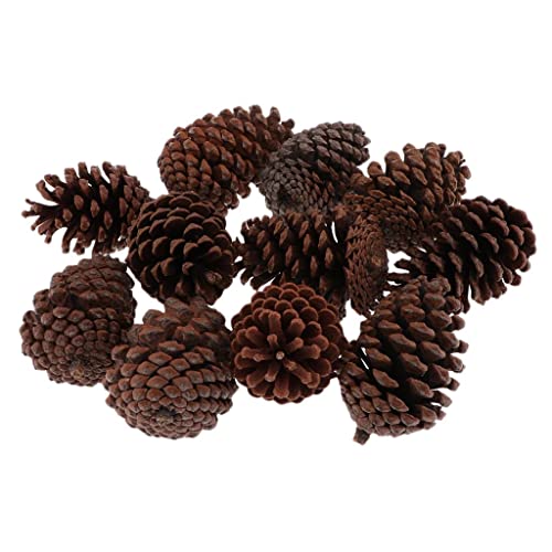 Sharplace 10pcs Tannenzapfen Kiefernzapfen natürliche Pinienzapfen Deko Basteln Weihnachten, B 8-10CM von Sharplace