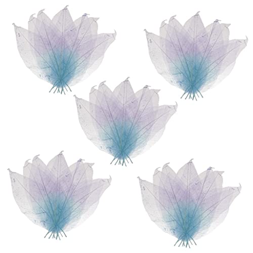 Sharplace 50 Natürliche Magnolien Skelettblätter für Scrapbooking, Blau + lila, one Size Sharplace 50 Natürliche Magnolien Skelettblätter für Scrapbooking, Blau + lila, one Size von Sharplace