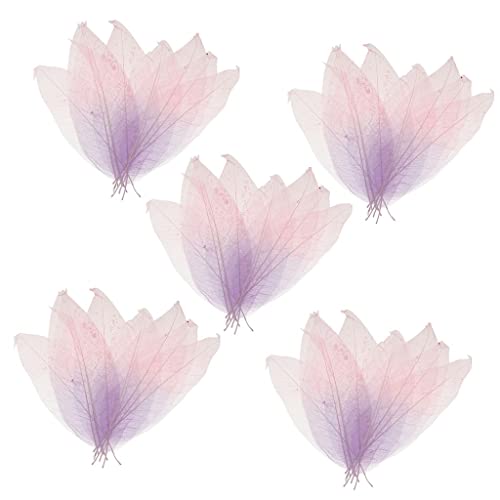 Sharplace 50 Natürliche Magnolien Skelettblätter für Scrapbooking, Lila + rosa, one Size Sharplace 50 Natürliche Magnolien Skelettblätter für Scrapbooking, Lila + rosa, one Size von Sharplace
