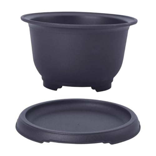 Sharplace Bruchsicherer Blumentopf für Drinnen Und Draußen, mit Feuchtigkeitsschale, für Bonsai, Garten, Einweihungsfeier, Bauernhaus, 12 x 7,3 x 7,1 cm Sharplace Bruchsicherer Blumentopf für Drinnen Und Draußen, mit Feuchtigkeitsschale, für Bonsai, Garten, Einweihungsfeier, Bauernhaus, 12 x 7,3 x 7,1 cm von Sharplace