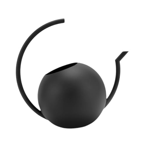 Sharplace Gießkanne Edelstahl Blumengießkanne Blumentopfkanne Gießhilfe mit Dünnem Auslauf aus Mattem Edelstahl Und Ergonomischem Holzgriff für Kinder Sharplace Gießkanne Edelstahl Blumengießkanne Blumentopfkanne Gießhilfe mit Dünnem Auslauf aus Mattem Edelstahl Und Ergonomischem Holzgriff für Kinder von Sharplace