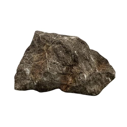 Sharplace Künstlicher Fels, natürliche Textur, Pumpenabdeckung, tragbare Foto-Ornamente, realistische Landschaftsdekoration für Garten, Terrasse, Rasen, Hof, 32x25x17cm Sharplace Künstlicher Fels, natürliche Textur, Pumpenabdeckung, tragbare Foto-Ornamente, realistische Landschaftsdekoration für Garten, Terrasse, Rasen, Hof, 32x25x17cm von Sharplace