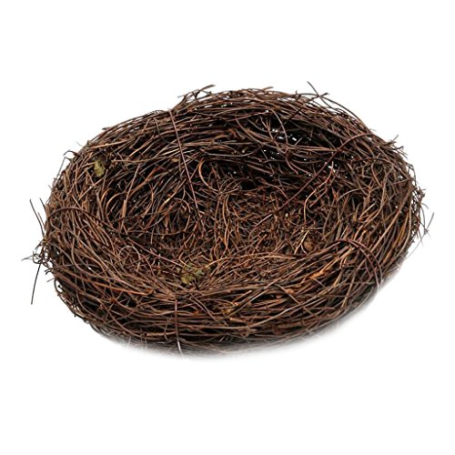 Sharplace Natur Rattan Frühling Dekoration Requisiten Garten, 35 cm von Sharplace