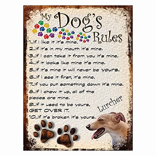 Shawprint Limited Metall-Blechschild mit Aufschrift "My Dog's Bedtime Beter" im Retro-Stil (493DRM) Lurcher von SHAWPRINT