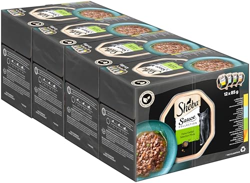 SHEBA Schale Nassfutter Multipack Sauce Collection Feine Vielfalt 6 x 12 x 85g SHEBA Schale Nassfutter Multipack Sauce Collection Feine Vielfalt 6 x 12 x 85g von Sheba