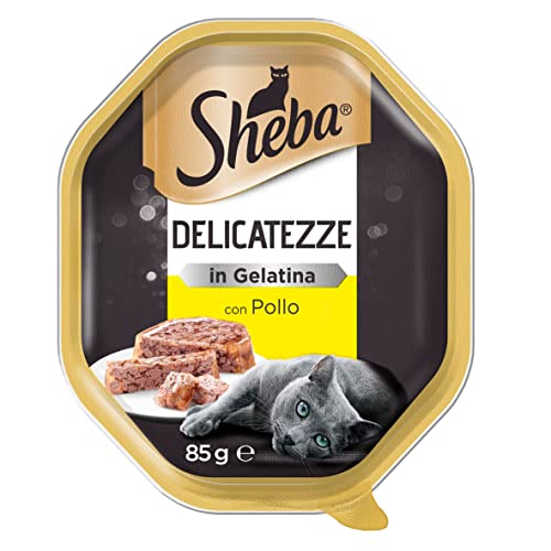 Sheba Delicatezze in Gelee Trancetti, Katzenfutter mit Huhn 85 g - 22 Schalen von Sheba