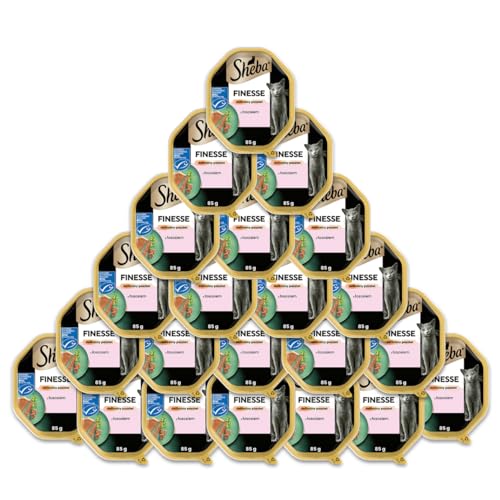 Sheba Finesse Mousse Katzennassfutter – Cremiges Katzenfutter in 22 Schalen mit Lachs (MSC) – Katzenfutter – 2er Pack (2 x 11 Schalen à 85g) von Sheba
