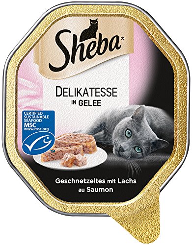 Sheba Katzenfutter Nassfutter Delikatesse in Gelee mit Lachs, 1 x 85g Schale Sheba Katzenfutter Nassfutter Delikatesse in Gelee mit Lachs, 1 x 85g Schale von Sheba