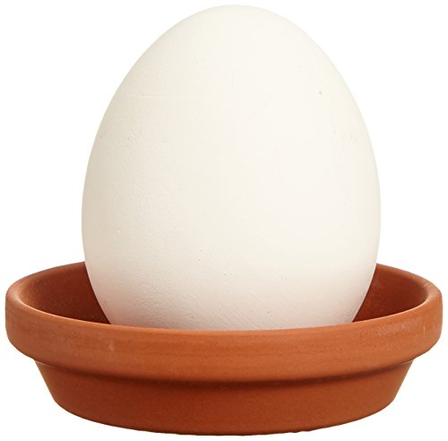 Eggling Kräuter Ei Pflanz Ei mit Samen Erdbeere Kräuterei von Sheishin