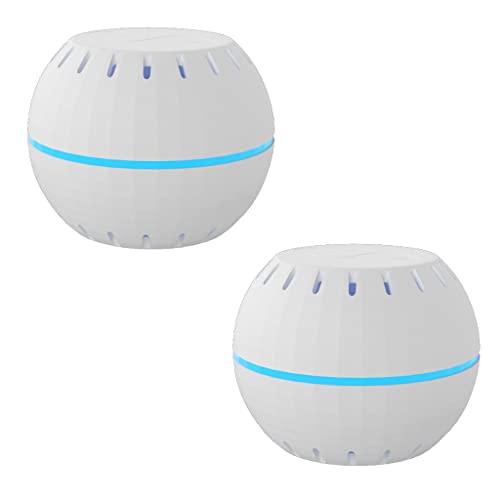 Shelly H&T weiß 2er Pack, Smart Home Temperatursensor & Luftfeuchtigkeitsmesser, Digitales Messgerät steuerbar per App, WLAN, Alexa & Google Home, Wifi-Thermometer & Hygrometer von Shelly