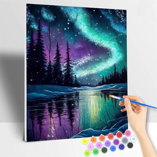 Malen nach Zahlen Erwachsene Mit Rahmen, Malen nach Zahlen Landschaft Nordlicht DIY Handgemalt Ölgemälde Kit Paint by Numbers Adult Mit 3 - Pinseln und Acrylfarbe - 40 X 50 CM von ShengDexin