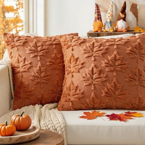 2 Stück Kissenbezug Herbst Blätter, Kissenhülle Herbst, Herbstkissen Deko Ahornblatt, Weicher Plüsch herbstkissen, Deko Kissen Plüsch Herbst, für Halloween Fall Wohndekoration (30×50) 2 Stück Kissenbezug Herbst Blätter, Kissenhülle Herbst, Herbstkissen Deko Ahornblatt, Weicher Plüsch herbstkissen, Deko Kissen Plüsch Herbst, für Halloween Fall Wohndekoration (30×50) von Shengou