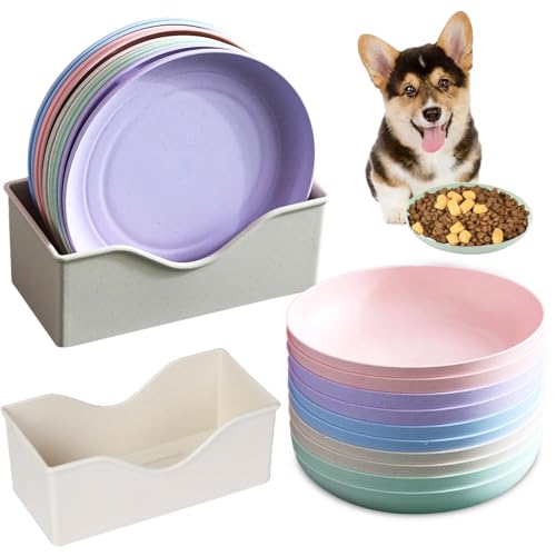 10 Stück Katzennapf,Katzenschüssel,Katzennapf Flach,Fressnapf Katze Futternapf,Runden Katzenteller,Fressnapf Katze,Bunt Katzenfutter Napfset,Cat Plate für Kätzchen und kurzbeinige Katzen 10 Stück Katzennapf,Katzenschüssel,Katzennapf Flach,Fressnapf Katze Futternapf,Runden Katzenteller,Fressnapf Katze,Bunt Katzenfutter Napfset,Cat Plate für Kätzchen und kurzbeinige Katzen von Shengruili