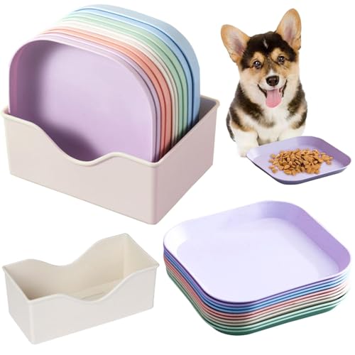 10 Stück Katzennapf,Katzenschüssel,Katzennapf Flach,Fressnapf Katze Futternapf,Runden Katzenteller,Fressnapf Katze,Bunt Katzenfutter Napfset,Cat Plate für Kätzchen und kurzbeinige Katzen 10 Stück Katzennapf,Katzenschüssel,Katzennapf Flach,Fressnapf Katze Futternapf,Runden Katzenteller,Fressnapf Katze,Bunt Katzenfutter Napfset,Cat Plate für Kätzchen und kurzbeinige Katzen von Shengruili