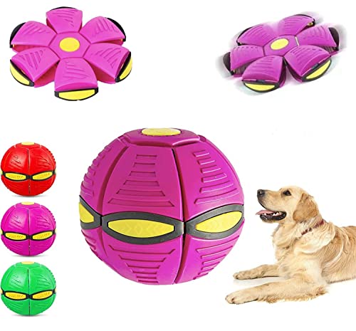 Shengruili Fliegender Ball für Hunde,Haustier Spielzeug Frisbee Ball,Fliegend Untertasse Ball Spielzeug für Hunde,Pet Toy Frisbee Ball Hund,Interaktives Fliegend Untertassen Ball Hundespielzeug von Shengruili