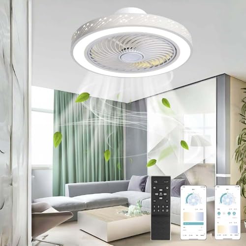 Shengruili Ventilator lampe,Deckenventilator mit LED Licht,Deckenventilator mit Beleuchtung 6 Geschwindigkeiten,Leiser deckenventilator mit Licht & Fernbedienung für Schlafzimmer von Shengruili