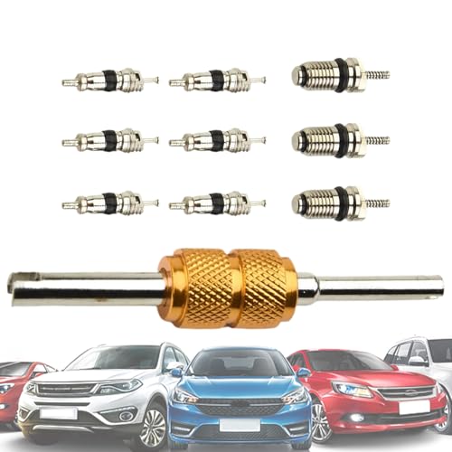 AC Ventileinsatz Werkzeug | Automotive Kfz-Klimatisierung Werkzeuge - Präzisions Satz 10 Ventilkerne Kit für Klimaanlagen Kfz und Wohnmobile von Shenrongtong