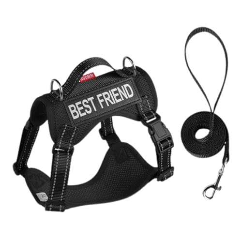 Katzengeschirr Set,Ausbruchssicheres Verstellbares Katzen Geschirr Mit Weichem Mesh Und Reflektierendem Streifen - Leichtes Fluchtsicheres Zubehör Mit Reflektierendem Streifen Und Katzengeschirr Set,Ausbruchssicheres Verstellbares Katzen Geschirr Mit Weichem Mesh Und Reflektierendem Streifen - Leichtes Fluchtsicheres Zubehör Mit Reflektierendem Streifen Und von Shenrongtong