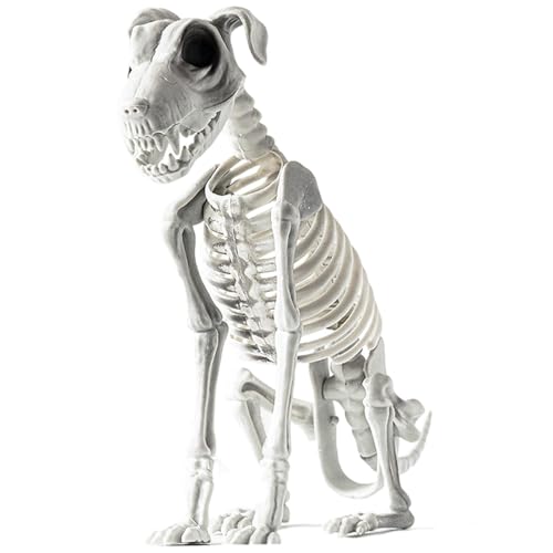 Skelett-Hund sitzend, Skelett-Hund-Halloween-Dekoration, gruselige gruselige Skelett-Tiere mit Zähnen, Halloween-Skelett-Dekorationen Skelett-Hund sitzend, Skelett-Hund-Halloween-Dekoration, gruselige gruselige Skelett-Tiere mit Zähnen, Halloween-Skelett-Dekorationen von Shenrongtong