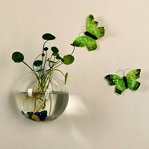 Blumentopf zum Aufhängen an der Wand, klares Glas, Vasen, Kugel, Terrarium, Behälter für Zuhause, Garten, Dekoration von Shenxay