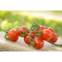 Matt Ist Wild Kirsche Erbstück Cherry Tomaten-Premium-Saatgut-Päckchen von SherwoodsSeeds
