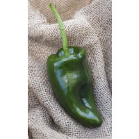Poblano Ancho Chile Mexiko Heirloom Pfeffer Premium Samen Paket Poblano Ancho Chile Mexiko Heirloom Pfeffer Premium Samen Paket von SherwoodsSeeds