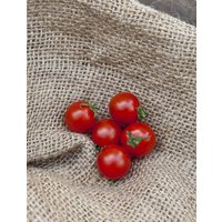 Süße Aperitif Heirloom Kirschtomate Premium Saatgut Packet - Süßeste Tomate Der Welt Süße Aperitif Heirloom Kirschtomate Premium Saatgut Packet - Süßeste Tomate Der Welt von SherwoodsSeeds