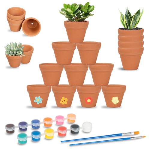 Sheryl&Rain Tontöpfe Klein, 24 Stück Mini Tontopf Blumentopf mit 12 Farben & 2 Pinsel, 3×3,5cm Terracotta Blumentopf Klein mit Abflussloch, Tontöpfe zum Basteln für Pflanzen Sukkulenten Hauspflanzen von Sheryl&Rain