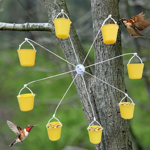 Riesenrad Vogelfutterstation | Vogel Riesenrad Futterstation mit Eimern | Vogelhäuschen für das Fenster im Freien | Vogelfutterstation zum Aufhängen für Spatzen, Gelbfinken und Schwalben von Shichangda