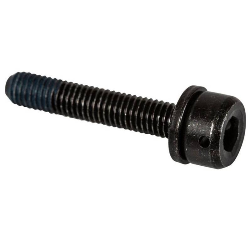 Shimano Schraube SHIMANO Befestigungsschraube Bremssatteladapter f. Flat-Mount-Rahmen 2 von Shimano