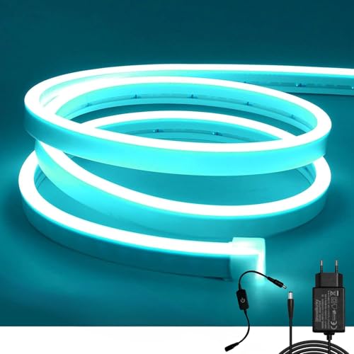 ShineBurky 5M Neon LED Strip Eisblau, 12V Neon LED Streifen Dimmbar Flexibel Wasserdicht IP65 Lichtleiste Silikon LED Neon Lichtband für Wohnzimmer Schlafzimmer Wand Deko DIY (Inklusive Netzteil) von ShineBurky