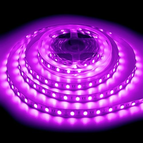 ShineBurky LED Strip 5M Rosa, LED Streifen 12V Lichtband Selbstklebend 300LEDs SMD5050 Beleuchtung Lichtband Strips Flexibel for Leiste Küche TV DIY Deko, Kein Netzadapter von ShineBurky