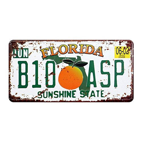 shinewe Florida B10 ASP Nummernschild Vintage Metall Schild Crafts der Garage Art 15 x 30 cm von Shinewe