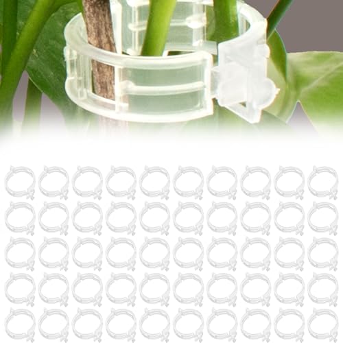 Pflanzenstütz-Clips - ShiningUU 200 Stück weiße Kunststoff-Pflanzenclips für Kletterpflanzen, Tomatenpflanzenstützen, Rankgitter-Clips, Gartenpflanzenclips zur Befestigung von Rankentomaten, Gemüse Pflanzenstütz-Clips - ShiningUU 200 Stück weiße Kunststoff-Pflanzenclips für Kletterpflanzen, Tomatenpflanzenstützen, Rankgitter-Clips, Gartenpflanzenclips zur Befestigung von Rankentomaten, Gemüse von ShiningUU
