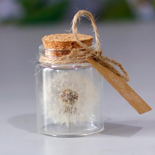 Shirene Echter Löwenzahn im Glas, Wunscherfüller - Echte Pusteblume im Glas - Handgemacht als Glücksbringer, Dankeschön, Geschenk, Aufmunterung - Geschenke für Frauen, Freundin, Geburtstag, für Mama von Shirene