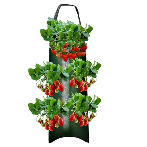 Shitafe Erdbeere Pflanzsack, Pflanztasche Hängend Pflanzbeutel Mit Griffe, Pflanzen Grow Tasche Pflanzen Wachstums Taschen Für Erdbeer Tomaten Kräuter Gemüse Pflanzen Shitafe Erdbeere Pflanzsack, Pflanztasche Hängend Pflanzbeutel Mit Griffe, Pflanzen Grow Tasche Pflanzen Wachstums Taschen Für Erdbeer Tomaten Kräuter Gemüse Pflanzen von Shitafe
