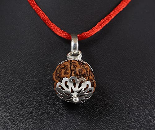 ShivaRatna 3-4-5-6-7 Mukhi Nepali Rudraksha Made in Pure Silver Cap - Laborzertifiziert (handverlesene, gereifte Perlen) natur (4 Mukhi Rudraksha) von ShivaRatna