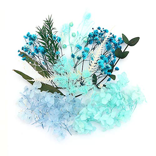 Shiwaki Künstliche Blumen Simulation Blumen BO?Te Konservierte Blume getrocknete Pflanze Basteln Kerze Harz Schmuckherstellung Handwerk Dekoration Dusche Dekoration für Zuhause – Blaue Stimmung von Shiwaki