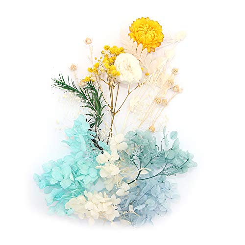 Shiwaki künstliche Blumen Simulation Blumen Box konserviert getrocknete Blumen Pflanze DIY Kerze Harz Schmuck Herstellung Craft Dekor Dusche Home Dekorationen - Blau Gelb Wei? von Shiwaki