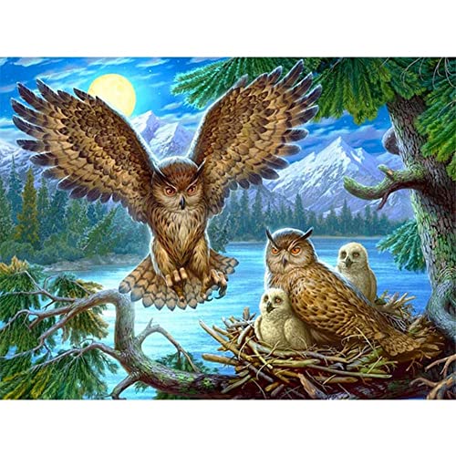 Kreuzstich Stickpackung Vogel Mond 11CT Stickbild Stickvorlage Vorgedruckt Stickset für Anfänger Home Decor 40x50cm von Shmdlm
