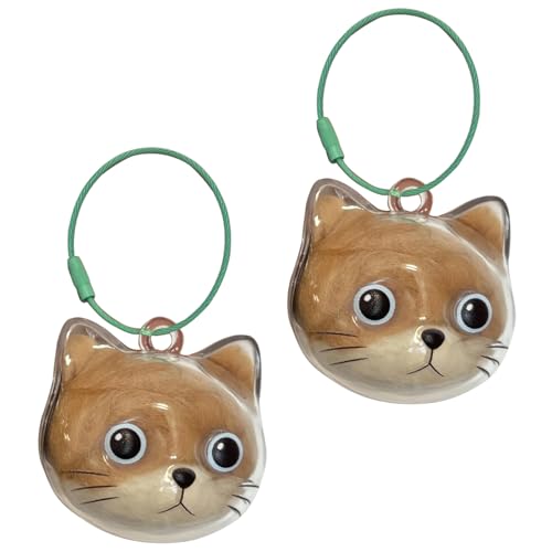 Eleganter Haustier-Gedenkanhänger für Kätzchen, Katzen, Kopfform, Haar-Aufbewahrungsbox, transparent, Andenken, Schmuck, Charm, Geschenk, Tierhaar, Gedenkanhänger von Shntig