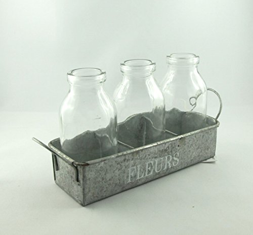 3 Blumenvasen als Flaschenvasen im Zinktablett mit Henkel. 1 Set von Shophaus24