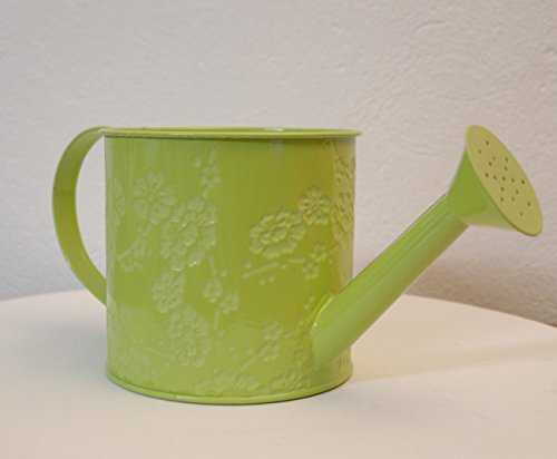 Shophaus24 Pflanz Gießkanne, Übertopf, Pflanzgefäß Kiwi. 1 Stück Shophaus24 Pflanz Gießkanne, Übertopf, Pflanzgefäß Kiwi. 1 Stück von Shophaus24