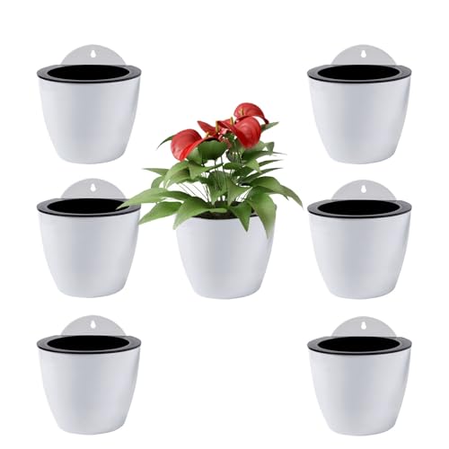 ShoppeWatch Selbstbewässernde Wand Blumentopf Hängend 7 Stück | Wandvasen für Pflanzen Blumen, Innen- und Außenbereich | Pflanzen Wand Mittelgroß, 12,7 cm PL34 von ShoppeWatch